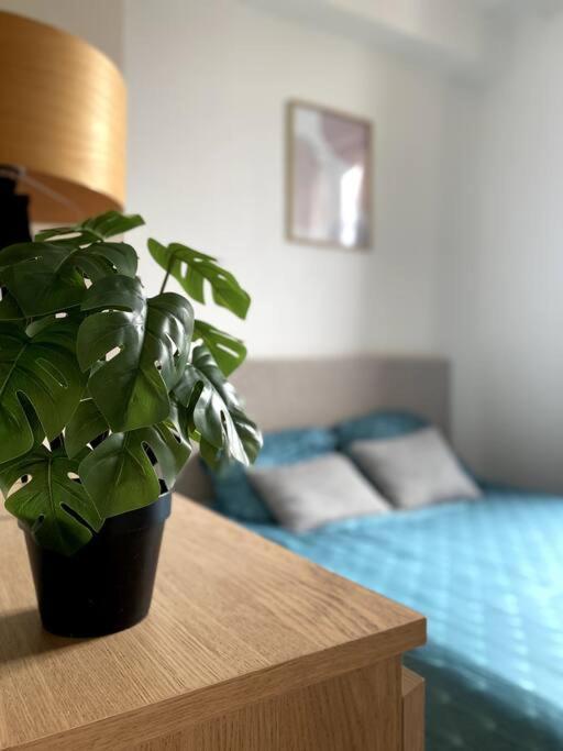Appartement 2 Pieces A Quelques Minutes De Paris Le Pre-Saint-Gervais Ngoại thất bức ảnh